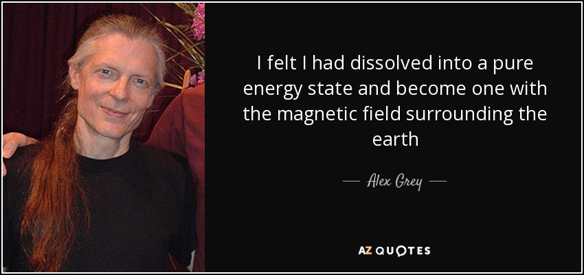 I felt I had dissolved into a pure energy state and become one with the magnetic field surrounding the earth - Alex Grey
