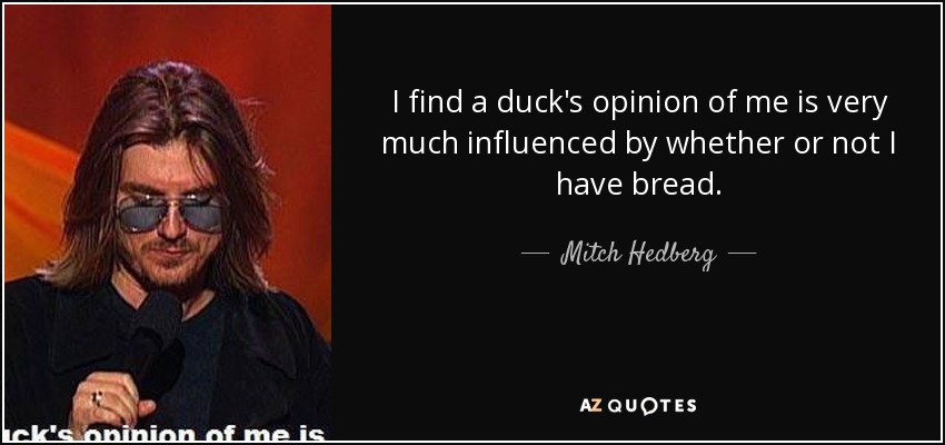 I find a duck's opinion of me is very much influenced by whether or not I have bread. - Mitch Hedberg