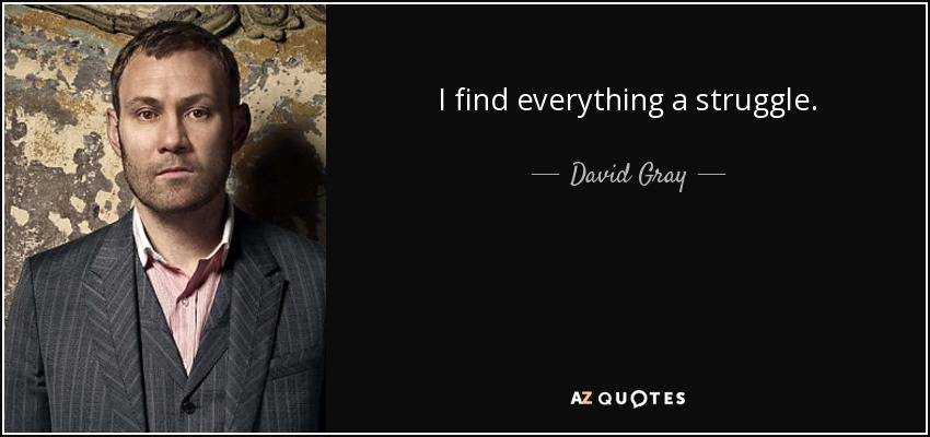 I find everything a struggle. - David Gray