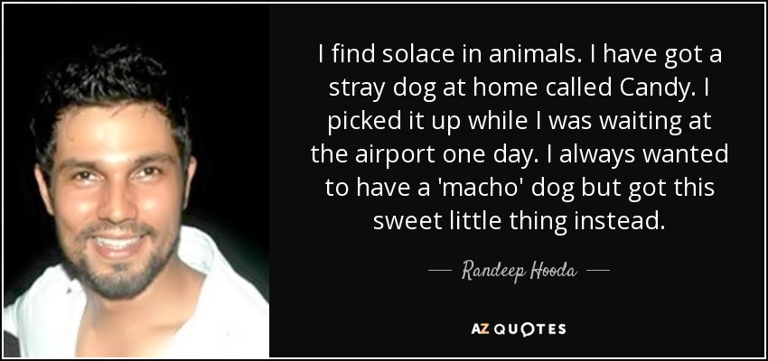 I find solace in animals. I have got a stray dog at home called Candy. I picked it up while I was waiting at the airport one day. I always wanted to have a 'macho' dog but got this sweet little thing instead. - Randeep Hooda