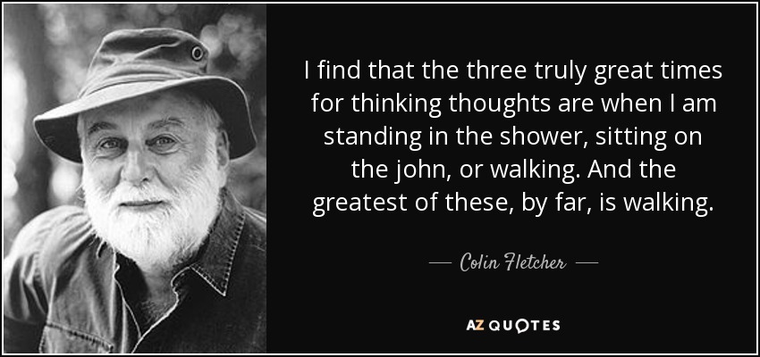 I find that the three truly great times for thinking thoughts are when I am standing in the shower, sitting on the john, or walking. And the greatest of these, by far, is walking. - Colin Fletcher