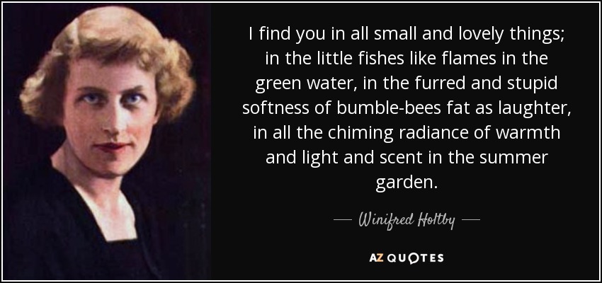 I find you in all small and lovely things; in the little fishes like flames in the green water, in the furred and stupid softness of bumble-bees fat as laughter, in all the chiming radiance of warmth and light and scent in the summer garden. - Winifred Holtby