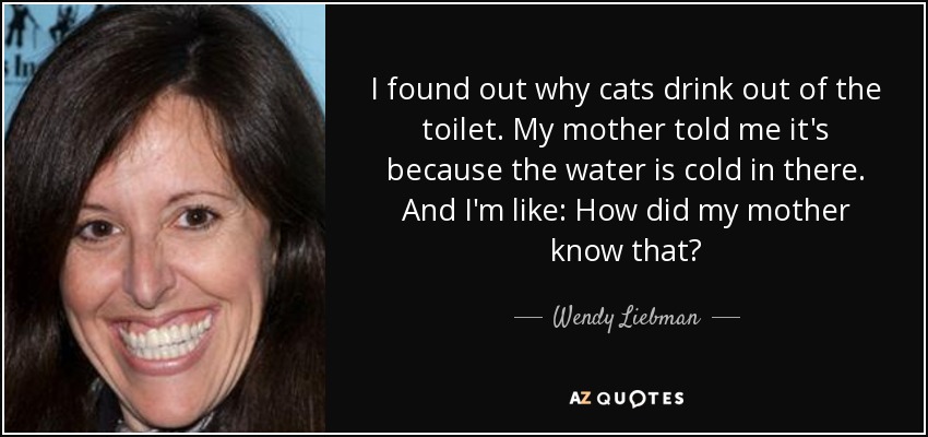 I found out why cats drink out of the toilet. My mother told me it's because the water is cold in there. And I'm like: How did my mother know that? - Wendy Liebman