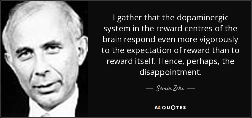 I gather that the dopaminergic system in the reward centres of the brain respond even more vigorously to the expectation of reward than to reward itself. Hence, perhaps, the disappointment. - Semir Zeki