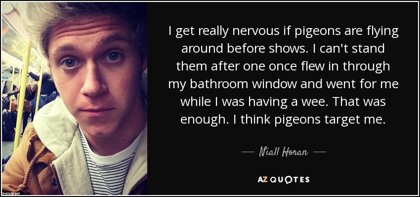 I get really nervous if pigeons are flying around before shows. I can't stand them after one once flew in through my bathroom window and went for me while I was having a wee. That was enough. I think pigeons target me. - Niall Horan
