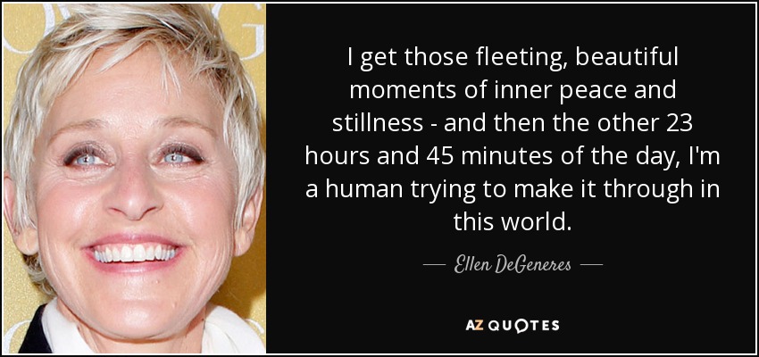 I get those fleeting, beautiful moments of inner peace and stillness - and then the other 23 hours and 45 minutes of the day, I'm a human trying to make it through in this world. - Ellen DeGeneres