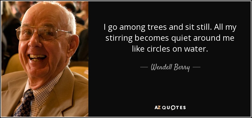 I go among trees and sit still. All my stirring becomes quiet around me like circles on water. - Wendell Berry