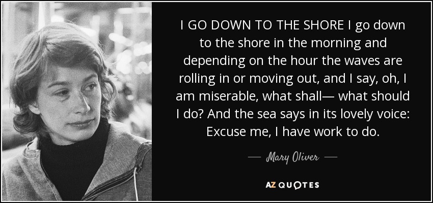 I GO DOWN TO THE SHORE I go down to the shore in the morning and depending on the hour the waves are rolling in or moving out, and I say, oh, I am miserable, what shall— what should I do? And the sea says in its lovely voice: Excuse me, I have work to do. - Mary Oliver