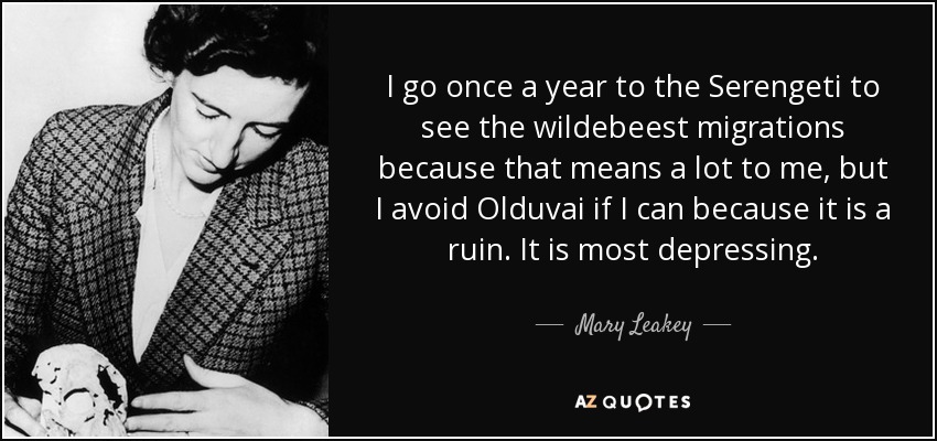 I go once a year to the Serengeti to see the wildebeest migrations because that means a lot to me, but I avoid Olduvai if I can because it is a ruin. It is most depressing. - Mary Leakey