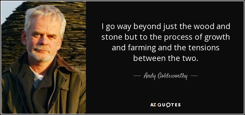 I go way beyond just the wood and stone but to the process of growth and farming and the tensions between the two. - Andy Goldsworthy