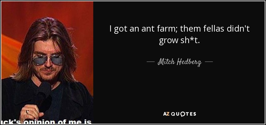 I got an ant farm; them fellas didn't grow sh*t. - Mitch Hedberg