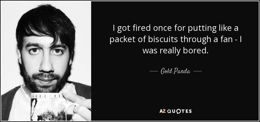I got fired once for putting like a packet of biscuits through a fan - I was really bored. - Gold Panda
