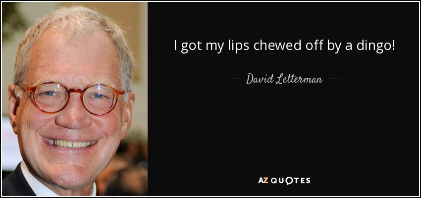 I got my lips chewed off by a dingo! - David Letterman
