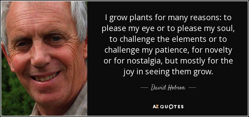 I grow plants for many reasons: to please my eye or to please my soul, to challenge the elements or to challenge my patience, for novelty or for nostalgia, but mostly for the joy in seeing them grow. - David Hobson