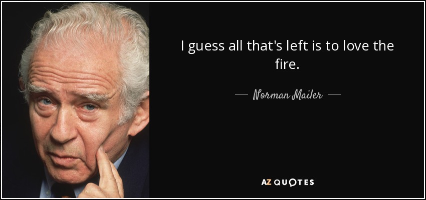 I guess all that's left is to love the fire. - Norman Mailer