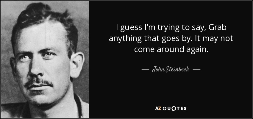 I guess I'm trying to say, Grab anything that goes by. It may not come around again. - John Steinbeck