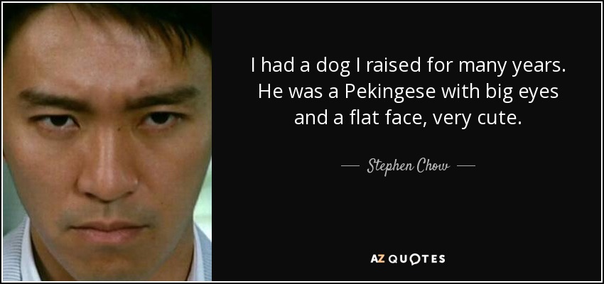 I had a dog I raised for many years. He was a Pekingese with big eyes and a flat face, very cute. - Stephen Chow
