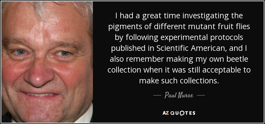 I had a great time investigating the pigments of different mutant fruit flies by following experimental protocols published in Scientific American, and I also remember making my own beetle collection when it was still acceptable to make such collections. - Paul Nurse