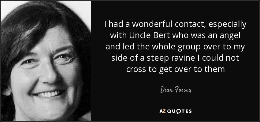 I had a wonderful contact, especially with Uncle Bert who was an angel and led the whole group over to my side of a steep ravine I could not cross to get over to them - Dian Fossey