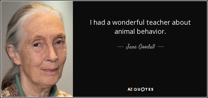 I had a wonderful teacher about animal behavior. - Jane Goodall