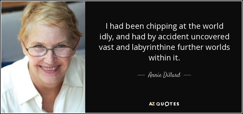I had been chipping at the world idly, and had by accident uncovered vast and labyrinthine further worlds within it. - Annie Dillard