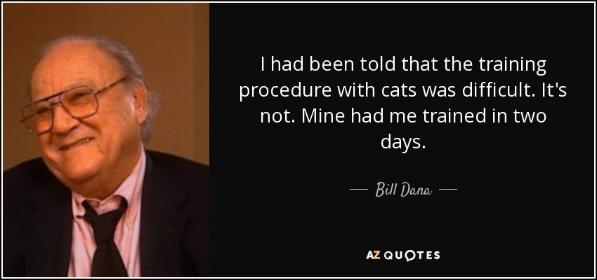 I had been told that the training procedure with cats was difficult. It's not. Mine had me trained in two days. - Bill Dana