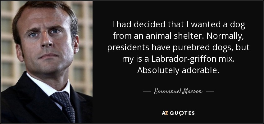 I had decided that I wanted a dog from an animal shelter. Normally, presidents have purebred dogs, but my is a Labrador-griffon mix. Absolutely adorable. - Emmanuel Macron
