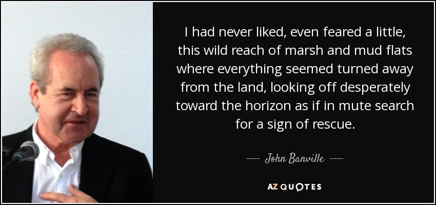 I had never liked, even feared a little, this wild reach of marsh and mud flats where everything seemed turned away from the land, looking off desperately toward the horizon as if in mute search for a sign of rescue. - John Banville