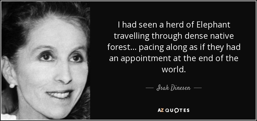 I had seen a herd of Elephant travelling through dense native forest ... pacing along as if they had an appointment at the end of the world. - Isak Dinesen
