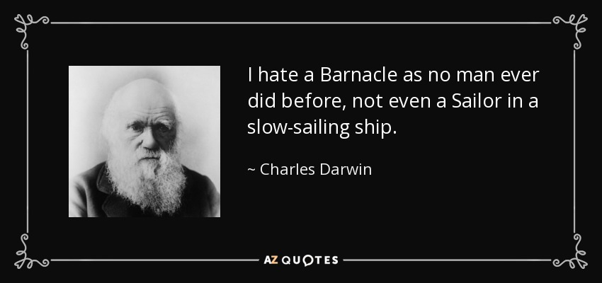 I hate a Barnacle as no man ever did before, not even a Sailor in a slow-sailing ship. - Charles Darwin