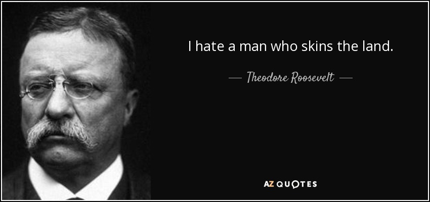 I hate a man who skins the land. - Theodore Roosevelt