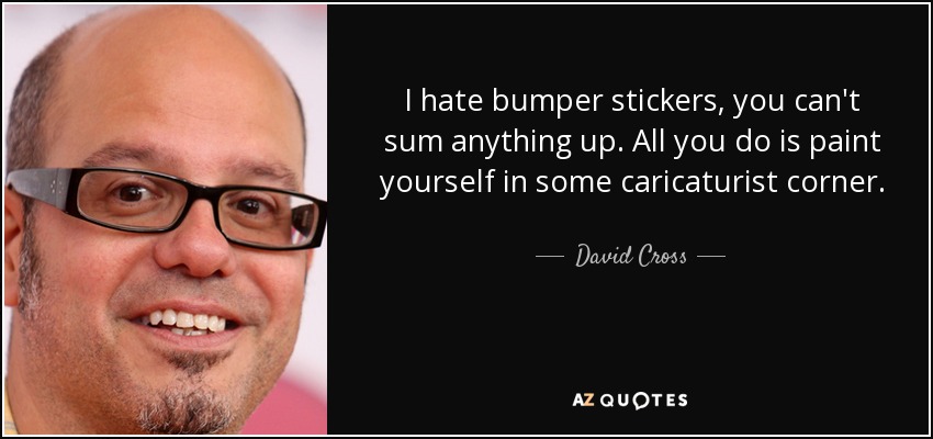 I hate bumper stickers, you can't sum anything up. All you do is paint yourself in some caricaturist corner. - David Cross