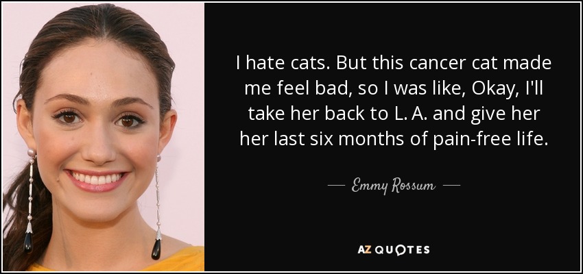 I hate cats. But this cancer cat made me feel bad, so I was like, Okay, I'll take her back to L. A. and give her her last six months of pain-free life. - Emmy Rossum