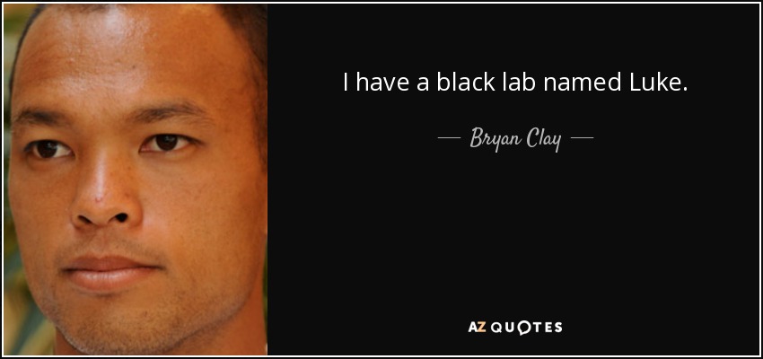 I have a black lab named Luke. - Bryan Clay