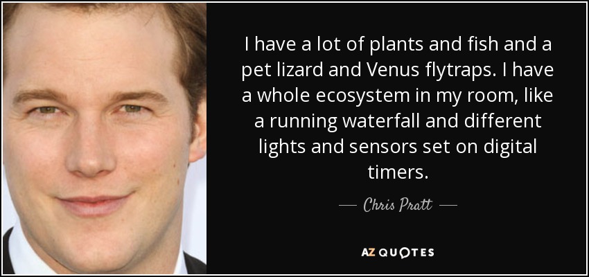 I have a lot of plants and fish and a pet lizard and Venus flytraps. I have a whole ecosystem in my room, like a running waterfall and different lights and sensors set on digital timers. - Chris Pratt