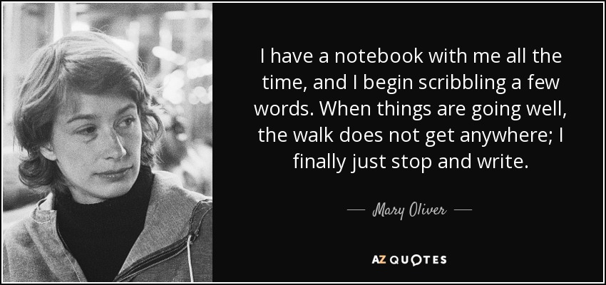 I have a notebook with me all the time, and I begin scribbling a few words. When things are going well, the walk does not get anywhere; I finally just stop and write. - Mary Oliver