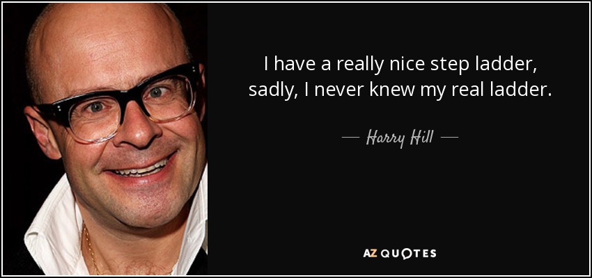 I have a really nice step ladder, sadly, I never knew my real ladder. - Harry Hill