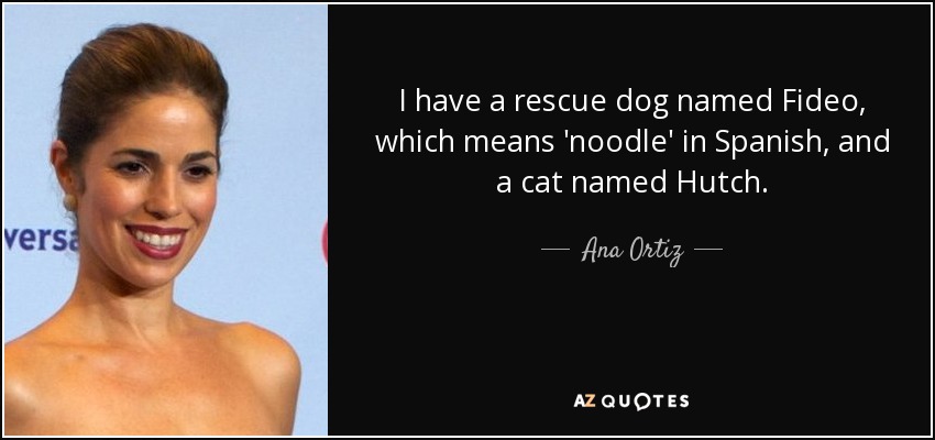I have a rescue dog named Fideo, which means 'noodle' in Spanish, and a cat named Hutch. - Ana Ortiz