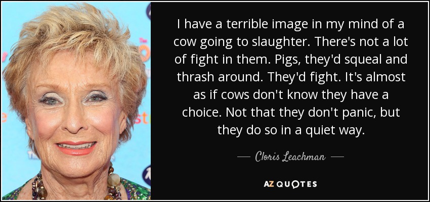 I have a terrible image in my mind of a cow going to slaughter. There's not a lot of fight in them. Pigs, they'd squeal and thrash around. They'd fight. It's almost as if cows don't know they have a choice. Not that they don't panic, but they do so in a quiet way. - Cloris Leachman