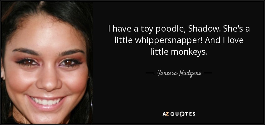 I have a toy poodle, Shadow. She's a little whippersnapper! And I love little monkeys. - Vanessa Hudgens