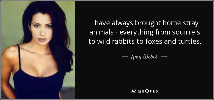 I have always brought home stray animals - everything from squirrels to wild rabbits to foxes and turtles. - Amy Weber