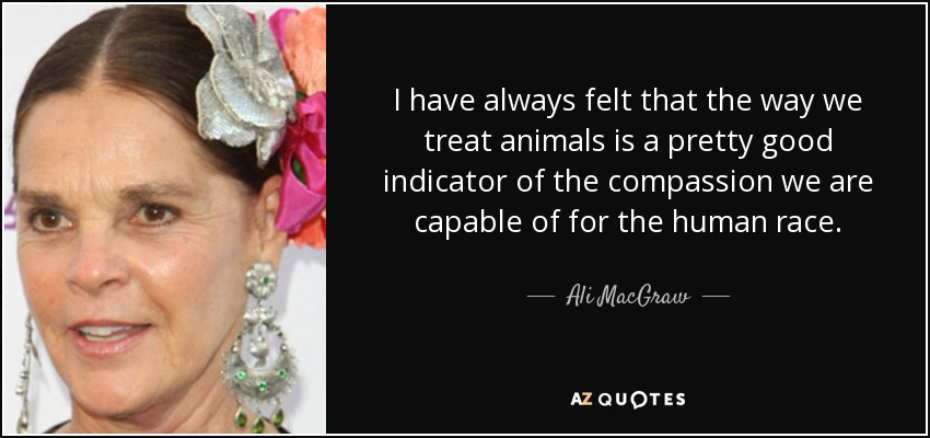 I have always felt that the way we treat animals is a pretty good indicator of the compassion we are capable of for the human race. - Ali MacGraw