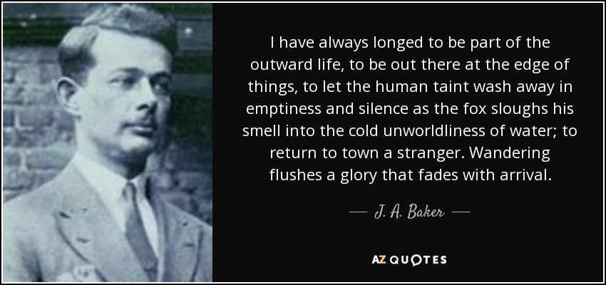 I have always longed to be part of the outward life, to be out there at the edge of things, to let the human taint wash away in emptiness and silence as the fox sloughs his smell into the cold unworldliness of water; to return to town a stranger. Wandering flushes a glory that fades with arrival. - J. A. Baker