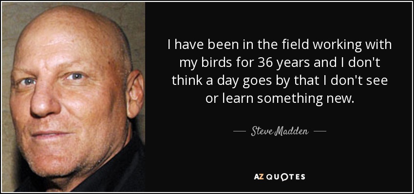 I have been in the field working with my birds for 36 years and I don't think a day goes by that I don't see or learn something new. - Steve Madden
