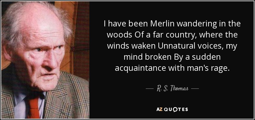 I have been Merlin wandering in the woods Of a far country, where the winds waken Unnatural voices , my mind broken By a sudden acquaintance with man's rage. - R. S. Thomas