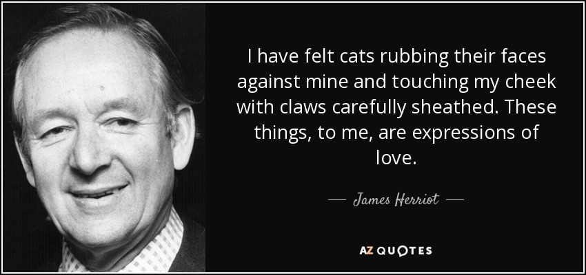 I have felt cats rubbing their faces against mine and touching my cheek with claws carefully sheathed. These things, to me, are expressions of love. - James Herriot