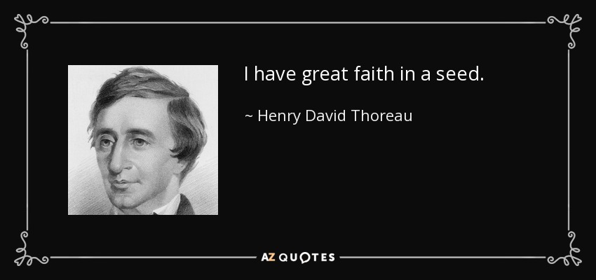 I have great faith in a seed. - Henry David Thoreau