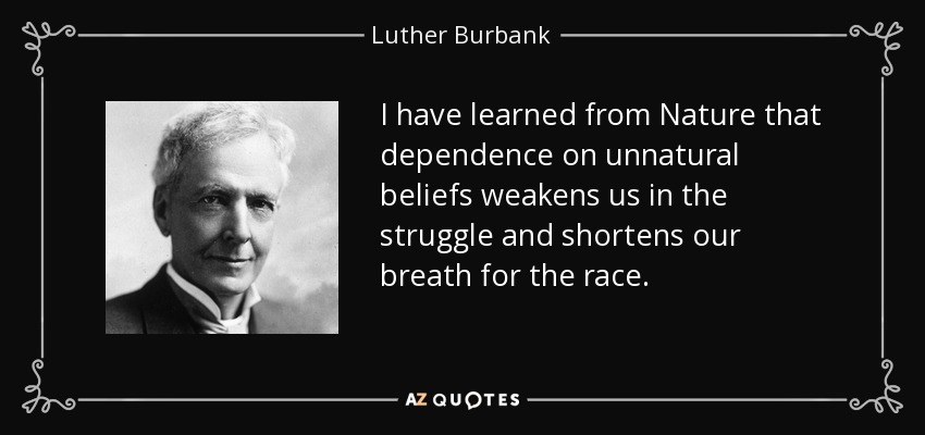 I have learned from Nature that dependence on unnatural beliefs weakens us in the struggle and shortens our breath for the race. - Luther Burbank