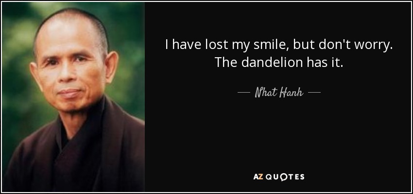 I have lost my smile, but don't worry. The dandelion has it. - Nhat Hanh