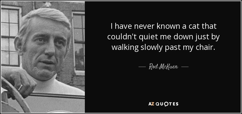 I have never known a cat that couldn't quiet me down just by walking slowly past my chair. - Rod McKuen